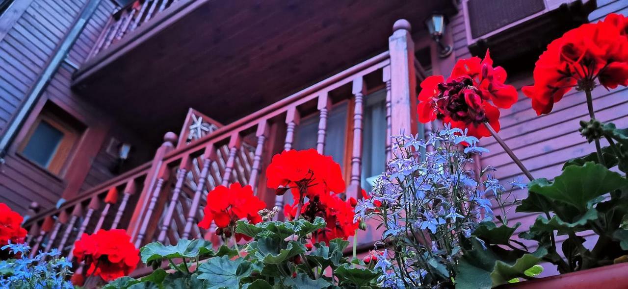 Hotel Albatros Old Town Sozopol Exterior photo